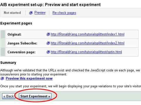 Google Website Optimezer13