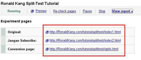 Google Website Optimezer14