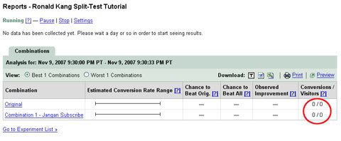 Google Website Optimezer15