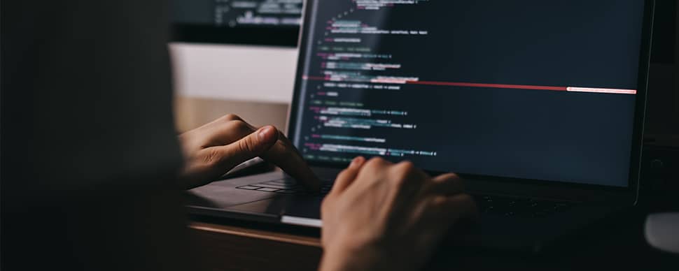 Web Developer
