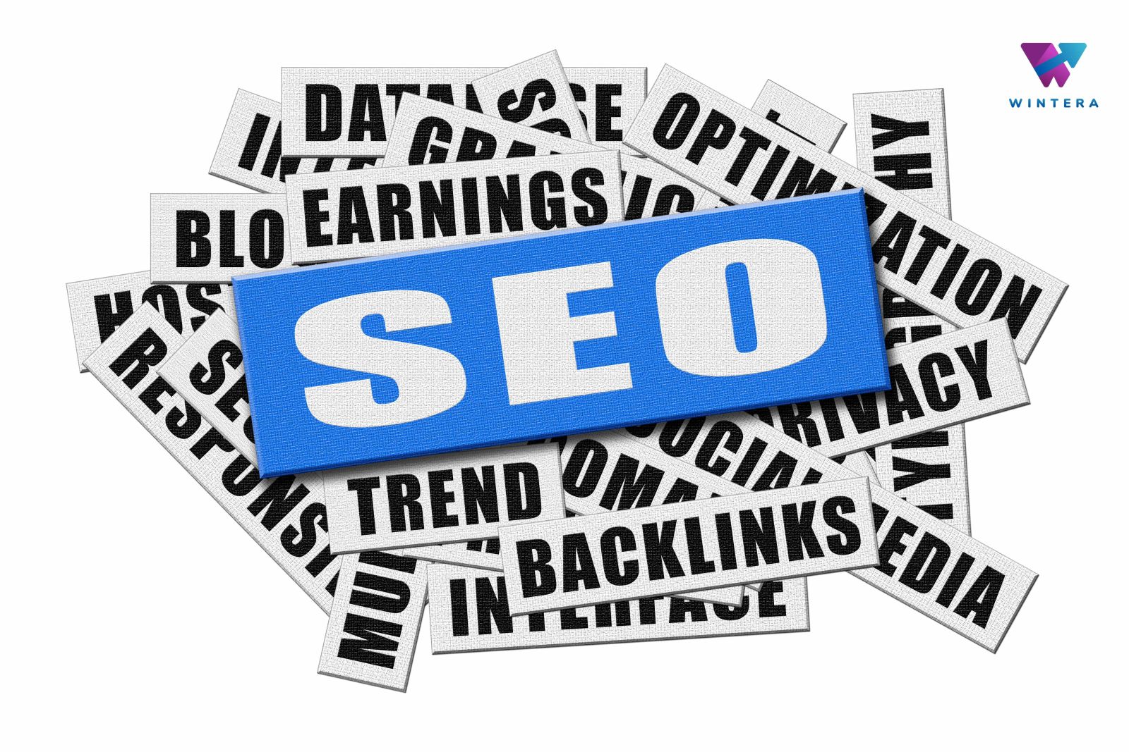 seo 1
